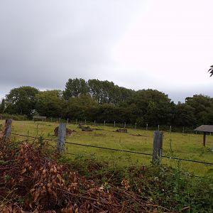 Black rhinoceros enclosure 7.7.24