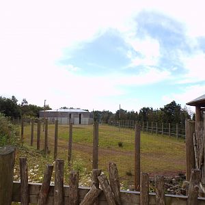 Giraffe enclosure 7.7.24