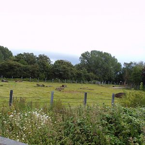 Black rhinoceros enclosure 7.7.24