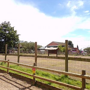 Zebra enclosure 7.7.24