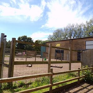 Zebra enclosure and old giraffe house 7.7.24