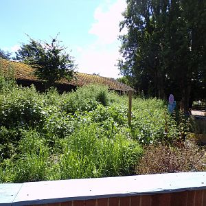 Empty enclosure (what did this hold?)  7.7.24