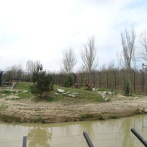 New tiger enclosure expansion