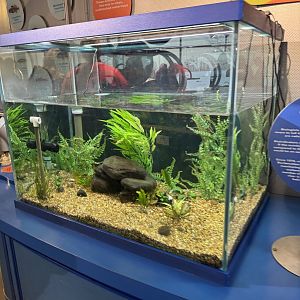 “Healthy Waterway” Exhibit- December 2024