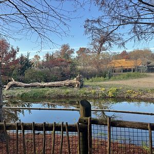 Africa Panorama View- November 2024