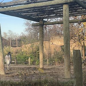 Africa Panorama View- November 2024