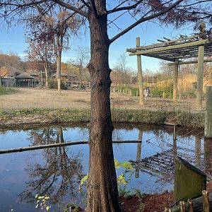 Africa Panorama View- November 2024