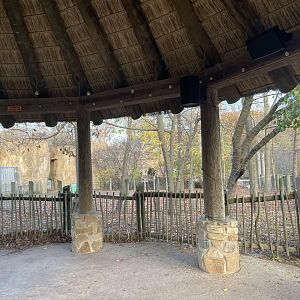 Africa Panorama View- November 2024