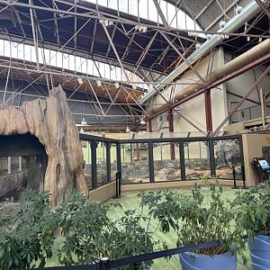 Second Floor Otter Viewing- February 2025