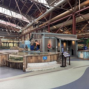 Second Floor Touch Pool- February 2025