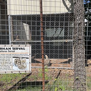 Serval Exhibit- May 2024