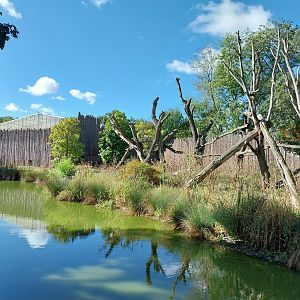 Chimpanzee House & Island