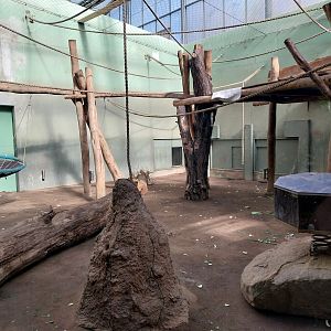 Chimpanzee House - Second indoor exhibit