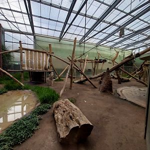 Chimpanzee House - First indoor exhibit