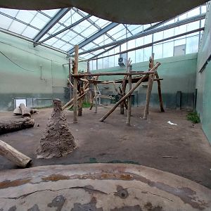 Chimpanzee House - First indoor exhibit
