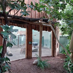 Chimpanzee House - Second indoor exhibit