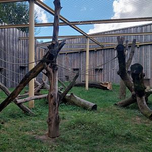 Chimpanzee House - Winter cage