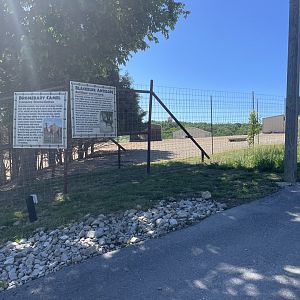 Drive-Thru Safari- May 2024