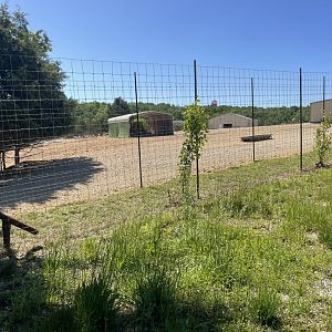 Drive-Thru Safari- May 2024