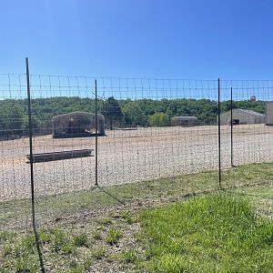 Drive-Thru Safari- May 2024