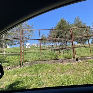 Drive-Thru Safari- May 2024