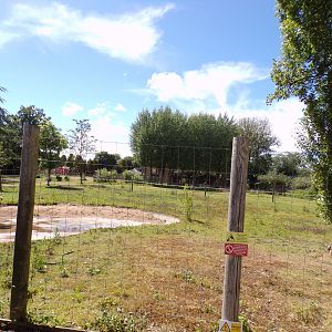 Zebra enclosure 7.7.24