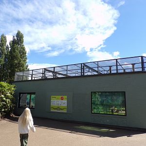 Siamang enclosure 7.7.24