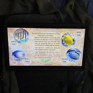 Signage example 8.7.24