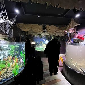 View of the aquarium 8.7.24