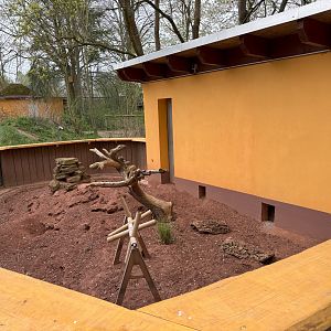 Enclosure for meerkats (Suricata suricatta)