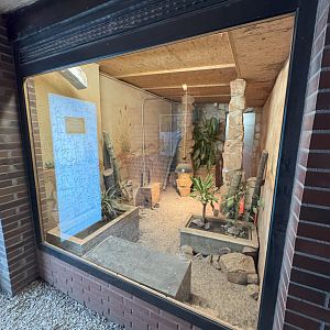 Indoor area for meerkats (Suricata suricatta)