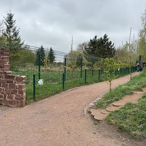 Enclosure for Eurasian wolf (Canis lupus lupus)