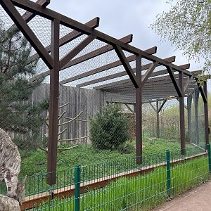 Aviary for European eagle-owl (Bubo bubo bubo)