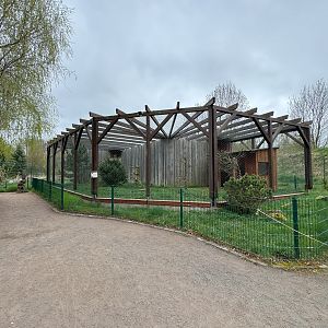 Aviary for European eagle-owl (Bubo bubo bubo)