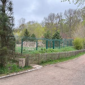 Enclosure for Carpathian lynx (Lynx lynx carpathicus)