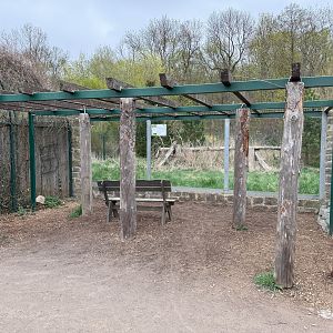 Enclosure for Carpathian lynx (Lynx lynx carpathicus)