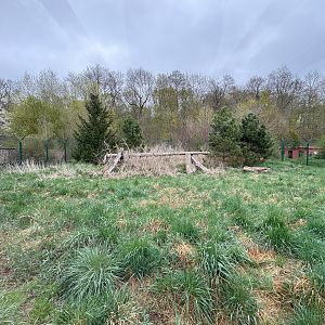 Enclosure for Carpathian lynx (Lynx lynx carpathicus)