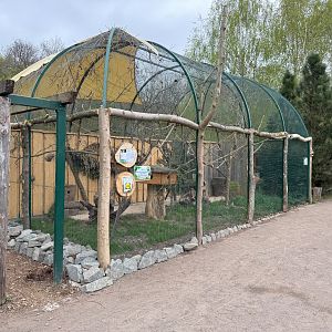 Exhibit for Swinhoe's striped squirrel (Tamiops swinhoei)