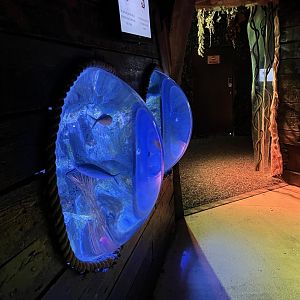 View of submarine style tanks 8.7.24