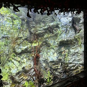 Local community fish tanks 8.7.24