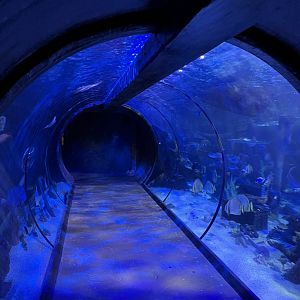 View of underwater tunnel 8.7.24