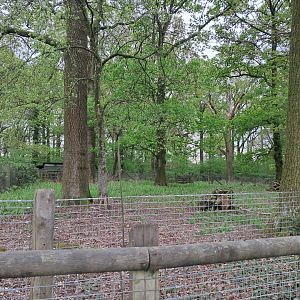 Disused enclosure on South Road- 20/4/2025