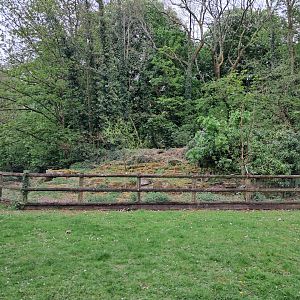 Disused enclosure(?) on South Road- 20/4/2025