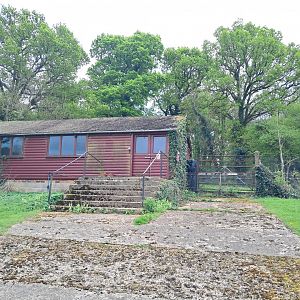 Disused enclosure on South Road- 20/4/2025