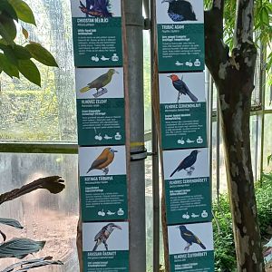 Current list of free-roaming species in Yucatan