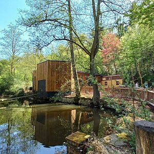 Gibonika - silvery gibbon exhibit