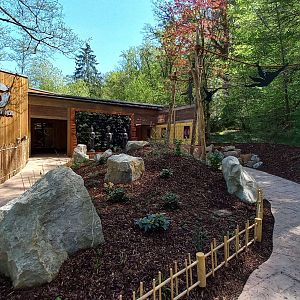 Gibonika - silvery gibbon exhibit