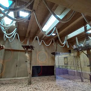 Gibonika - silvery gibbon exhibit