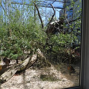 Asian exhibit at the museum