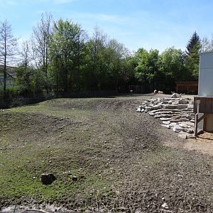 Golden takin and blackbuck mixed exhibit at the museum (Biodiversity exhibition)